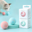 PetPlay | Pelota Inteligente para mascotas pequeñas y gatos